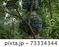 森に放置された像 73334344