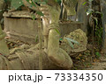 手付かずの寺院に放置された仏像 73334350