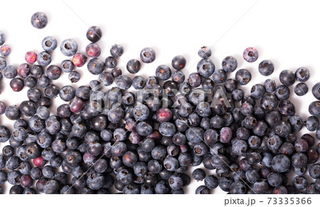 Blueberry or bilberry isolated on white background cutout 73335366