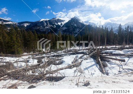 Snow covered Tatra ranges in March Snow covered Tatra ranges in March 73335524