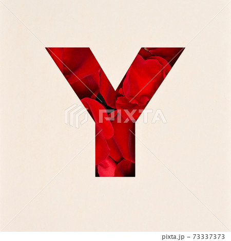 Font design, Abstract alphabet font with Rose petals, realistic typography - Y Font design, Abstract alphabet font with Rose petals, realistic typography - Y 73337373