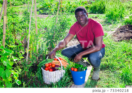 Man posing in garden with harvested vegetables Man posing in garden with harvested vegetables 73340218