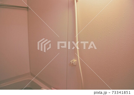 浴室内のシャワーホース 浴室内のシャワーホース 73341851