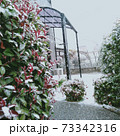 雪と庭1 73342316