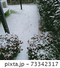 雪と庭2 73342317