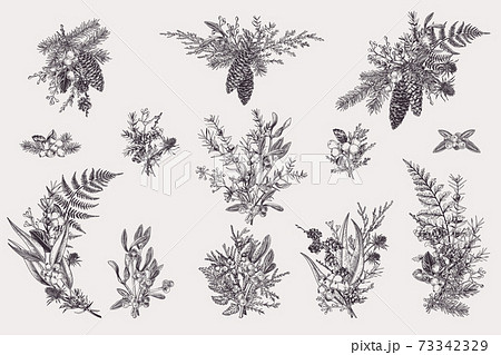 Set with Christmas bouquets. Set with Christmas bouquets. 73342329