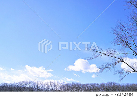 青空と雲　　冬 イメージ　  73342484