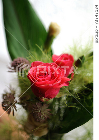赤い薔薇のフラワーアレンジメント 赤い薔薇のフラワーアレンジメント 73343184