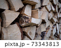 Woodpile with fireplace wood stacked 73343813