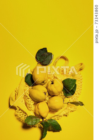 Few organic quince apples in mesh bag on yellow 73343860