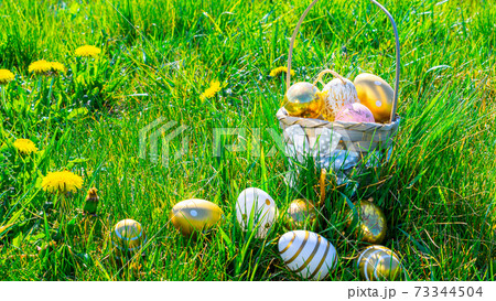 Easter rabbit. Golden egg with yellow spring flowers in celebration basket on green grass background. Happy Easter concept. 73344504