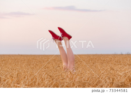 Legs upwards against the sky and fields of ripe wheat. Feet in red shoes sticking out from field Legs upwards against the sky and fields of ripe wheat. Feet in red shoes sticking out from field 73344581