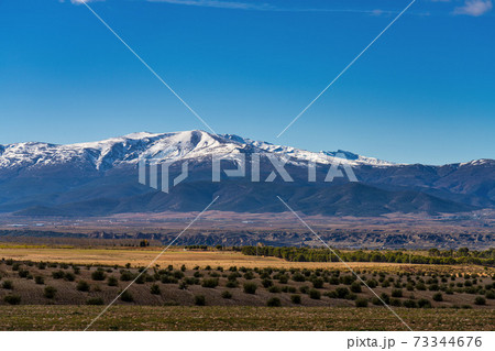 View of Guadix in the Sierra Nevada, province of Granada, Andalusia, Spain. View of Guadix in the Sierra Nevada, province of Granada, Andalusia, Spain. 73344676