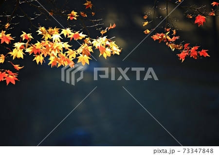 冬 屋外 景色 73347848