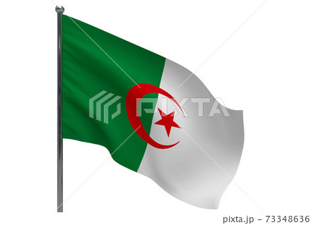 algeria flag on pole icon algeria flag on pole icon 73348636