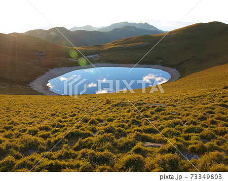 牧草地 放牧 放牧場 73349803