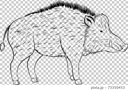 forest animal clipart black and white pig