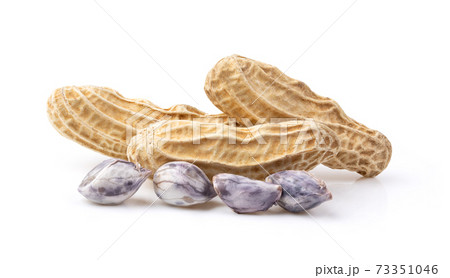 peanuts isolated on white peanuts isolated on white 73351046