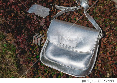 Festive evening small silver bag. Luxury accessories and party concept. 73352494