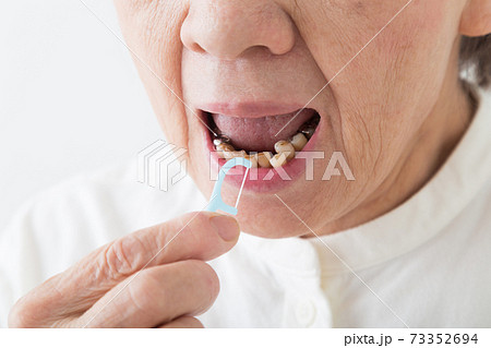 デンタルフロス 73352694