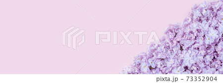 Lilac flowers closeup on tender violet background Lilac flowers closeup on tender violet background 73352904