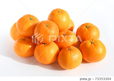 みかん(はれひめ) みかん(はれひめ) 73353304