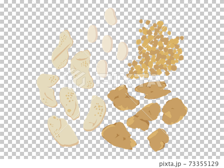 いろいろな大豆ミート 73355129