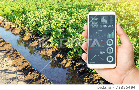 A farmer holds a phone with infographics in his hand against the background of a water filled irrigation canal of a potato plantation. Innovative modern technologies in agriculture. 73355494