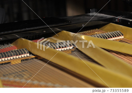 Inside of grand piano. Close-up view of hammers, strings inside the piano.  73355589