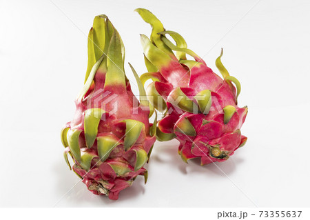 白バックで赤果肉のドラコンフルーツ 白バックで赤果肉のドラコンフルーツ 73355637