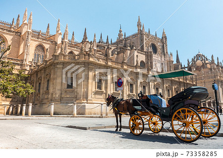 セビリア大聖堂と馬車 セビリア大聖堂と馬車 73358285