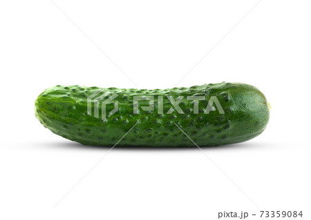 Fresh green cucumber on a white background. One cucumber closeup isolated on white background. 73359084