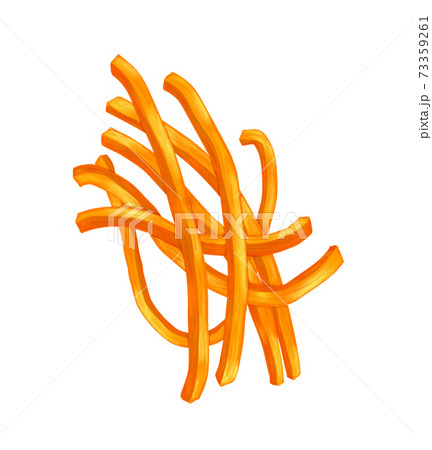 野菜 人参⑤(イラスト)鍋・弁当・料理画像にも使えます 組合せシリーズ 野菜 人参⑤(イラスト)鍋・弁当・料理画像にも使えます 組合せシリーズ 73359261