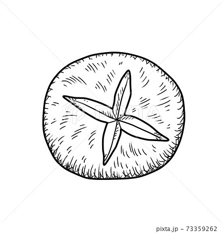 野菜 しいたけ モノクロ 鍋 弁当 料理画像にも使えます 組合せシリーズのイラスト素材