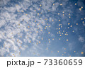 White balloons in the blue sky 73360659