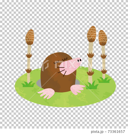 Watercolor style illustration of spring mole and horsetail 73361657