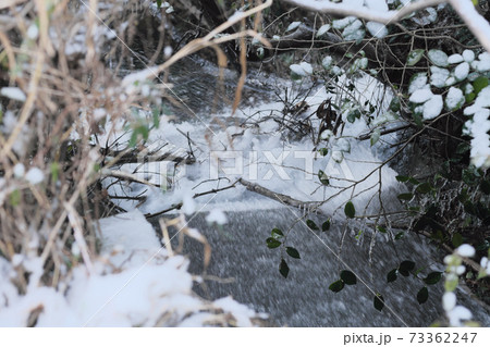 雪解け水が流れる川 73362247