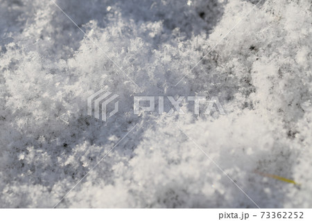 薄っすら降り積もる雪の結晶 73362252