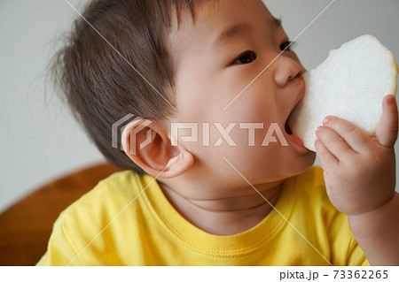 1 year old イメージ 1 year old イメージ 73362265