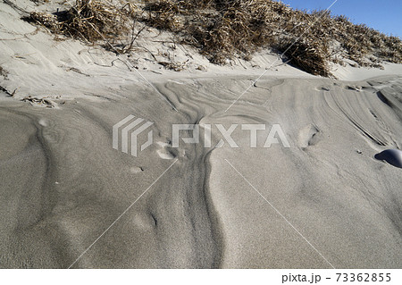 砂丘の模様 千浜砂丘 砂丘の模様 千浜砂丘 73362855