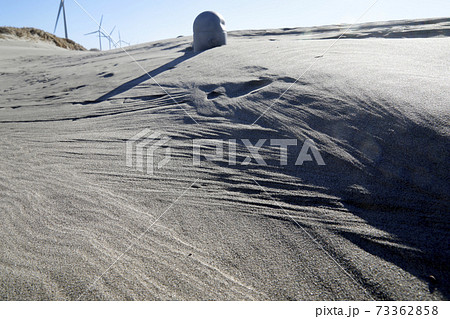 砂丘の模様　千浜砂丘　 73362858