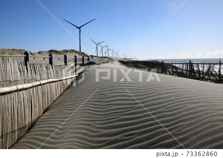砂丘の模様 千浜砂丘 砂丘の模様 千浜砂丘 73362860