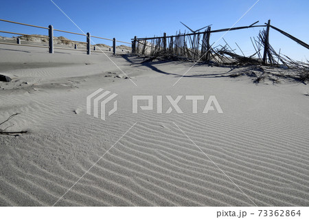 砂丘の模様 千浜砂丘 砂丘の模様 千浜砂丘 73362864