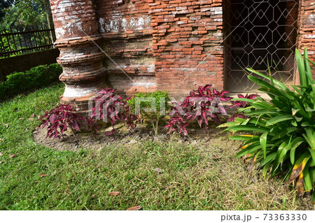 バングラデシュのダッカ　古都のショナルガオ　歴史的なゴアルディ・モスジット　レンガ造りの古い建造物 73363330