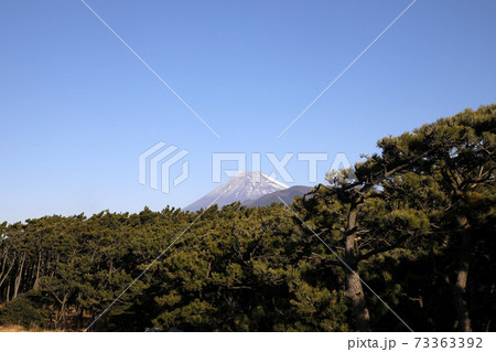 松林と富士山 73363392