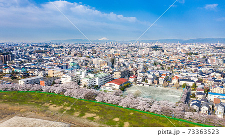 空撮「埼玉県」見沼田んぼの桜回廊 空撮「埼玉県」見沼田んぼの桜回廊 73363523