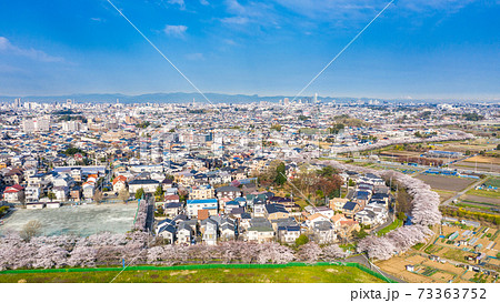 空撮「埼玉県」見沼田んぼの桜回廊 空撮「埼玉県」見沼田んぼの桜回廊 73363752