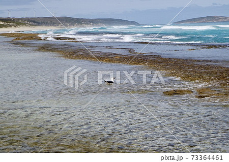 【オーストラリア・WA】　イレブンマイルビーチ 73364461