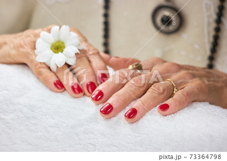 Female hands with flower after spa. Female hands with flower after spa. 73364798