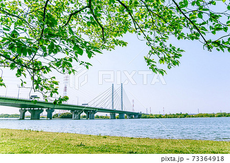 春の幸魂大橋と彩湖と新緑 73364918